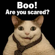 Boo! Are you scared?