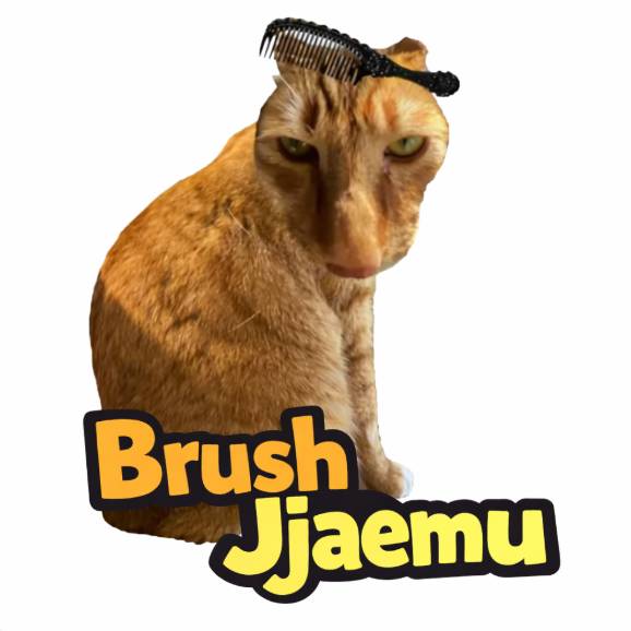 How to Play Brush Jjaemu